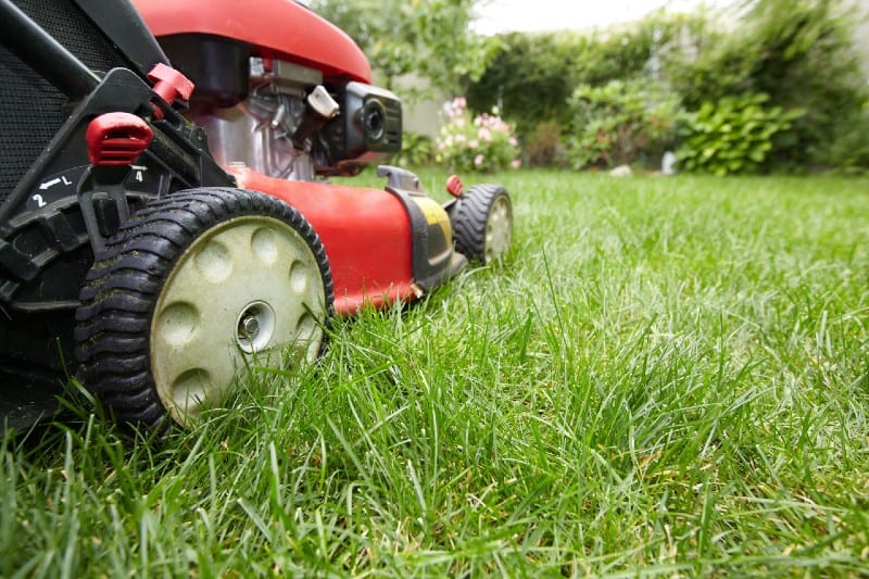 illawarra garden services
