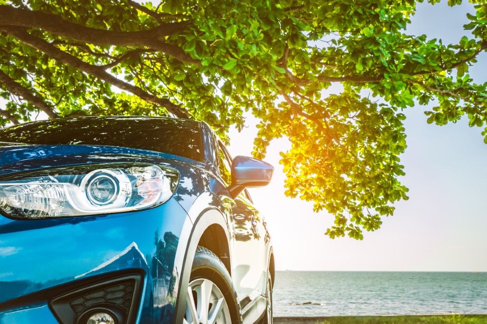 illawarra automotive services