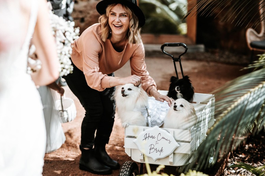 illawarra wedding dogsitter
